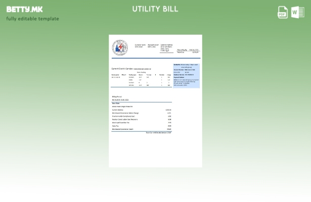 Модерен стил на Египет Египетски шаблон за комунални сметки за електрична енерги
